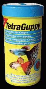    TetraGuppy,  250 
